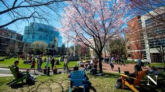 These Zoom Virtual Background To Bring Northeastern Home