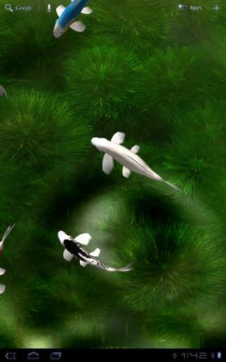 Wallpaper Android App Re Koi Live For