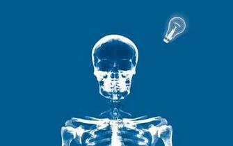High Resolution X Ray Desktop Wallpaper Enforen S Site