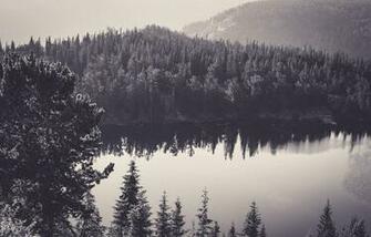 Sea Black And White Nature Forest Monochrome Wallpaper