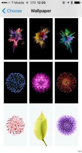 Beta Wallpaper Ios
