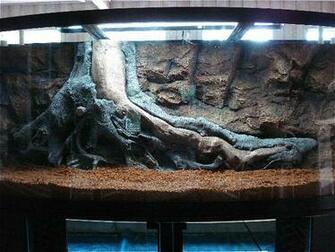 3d Aquarium Backgrounddesigns By Nature Background