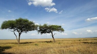 Amani Afrika Private African Safari Kilimanjaro Climb Gorilla Tours