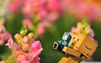 Danbo Falling Down 4k HD Desktop Wallpaper For Ultra Tv