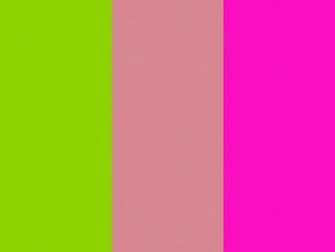 Sheen Green Shimmering Blush And Shocking Pink Three Color Background