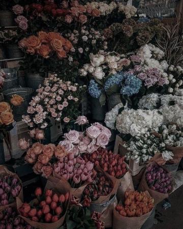 Lily Bloom Floral Shop It Ends With Us Colleen Hoover