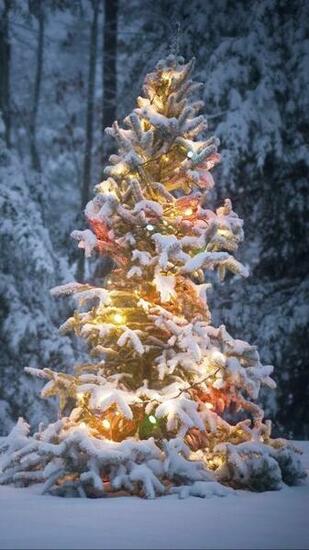 Christmas Lights Wallpaper And Screensavers Image