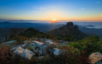 Provence Wallpaper Nature