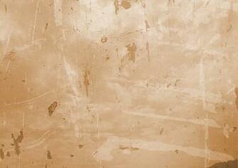 Illustration Natural Background Wallpaper