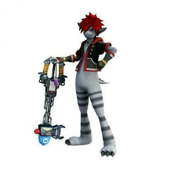 Monster Form Monstropolis Sora Kingdom Hearts
