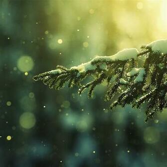 iPad Wallpaper5