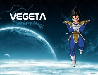 Vegeta Wallpaper Songohan
