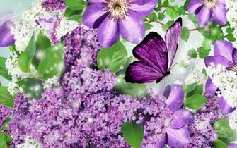 HD Lilacs Butterfly Wallpaper