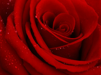Calm Background Image