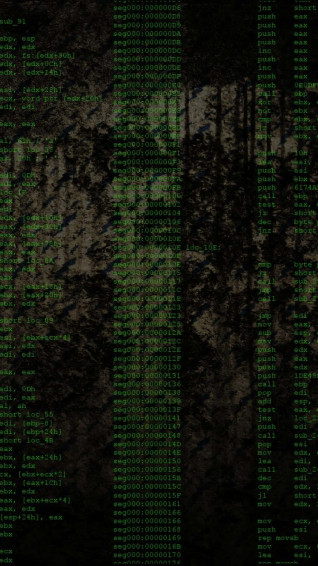 Coding iPhone Wallpaper