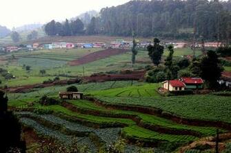 Nilgiri Biosphere Reserve Photos Image And Wallpaper HD