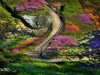 My Amazing Things Beautiful Flower Garden Photos