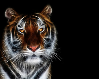 Cool Tiger Background Wallpaper