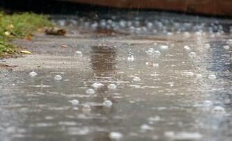 Rainy Day Drops