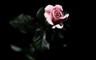 Wallpaper Love HD