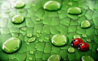 Kids Under Spring Wallpaper For Desktop