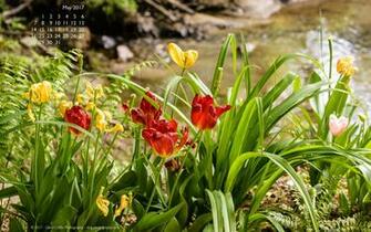 Wallpaper David Griffin Photography