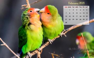 February Calendar Wallpaper