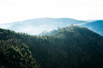 Schwarzwald Pictures Image