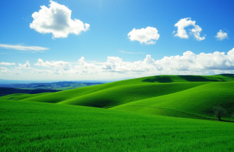 Windows Green Wallpaper