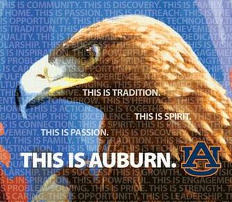 Of Communications And Marketing Wallpaper Auburn University