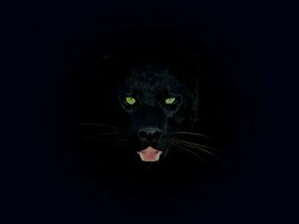 Black Panther Wallpaper By Cazcastalla