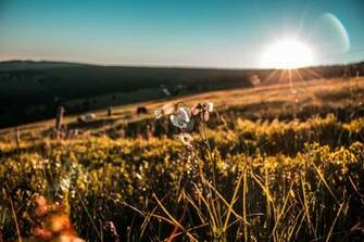 Computer Wallpaper Mountain Grass Family Background Royalty