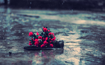 Rain HD Wallpaper And