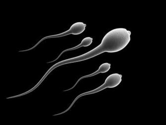 Sperm Abstraction Abstract Bokeh Life Sex Sexual Medical