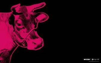 Best Andy Warhol Background Skullcandy