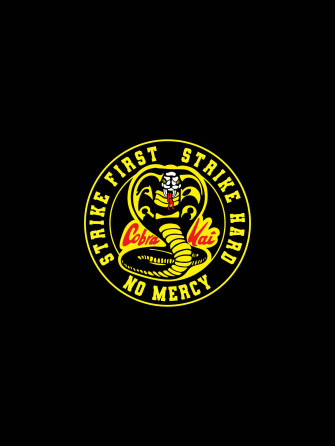 Cobra Kai Phone Get Ready For The Dojo Wallpaper