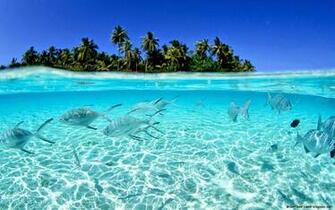 Hawaii Wallpaper