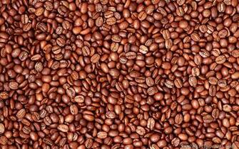 Coffee Bean Cate Wallpaper