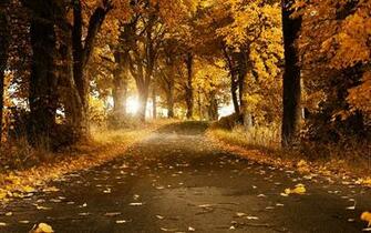 Wallpaper Autumn Scenery Desktop