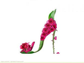 Computer Desktop Wallpaper Shoe Fleur Exquisiteness Photo