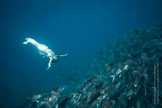 Maria Teresa Solomons Diving Courses