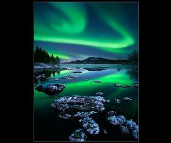 I9023 Nexus Mobiles Nature Wallpaper For
