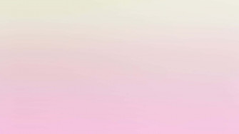 Solid Pink Wallpaper