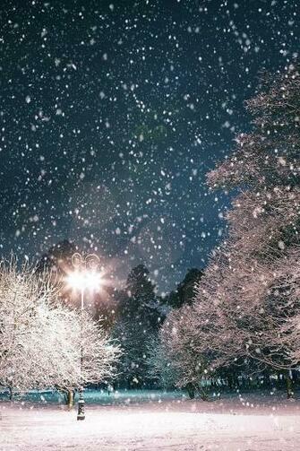 Winter Christmas Scenery iPhone Background HD Wallpaper