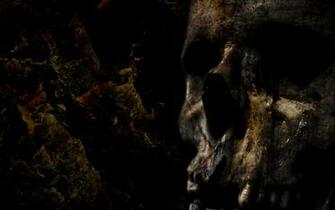 Dark Skull Wallpaper Wallpoper