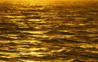 Buy Wallpaper Gold