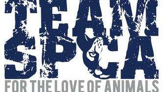 Johandre Olivier Is Raising Money For Cape Of Good Hope Spca