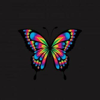 Wallpaper Butterfly Shine Bright