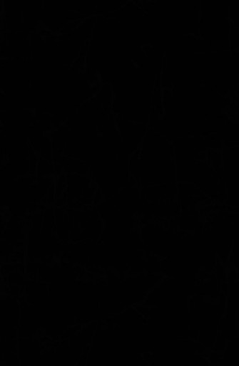 Pure Black Wallpaper