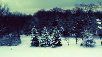Snow And Winter Desktop Background Wide Wallpaper
